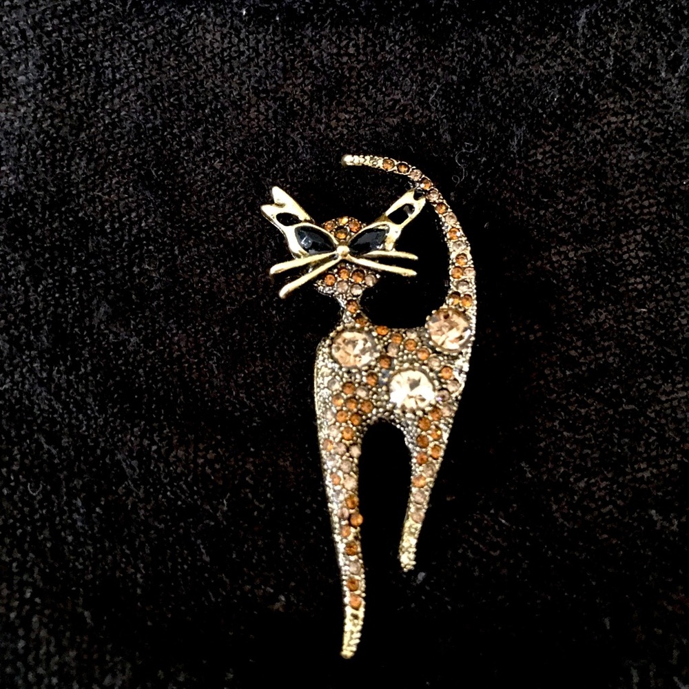 Cat pin brooch with rhinestones 2.5” sassy cat